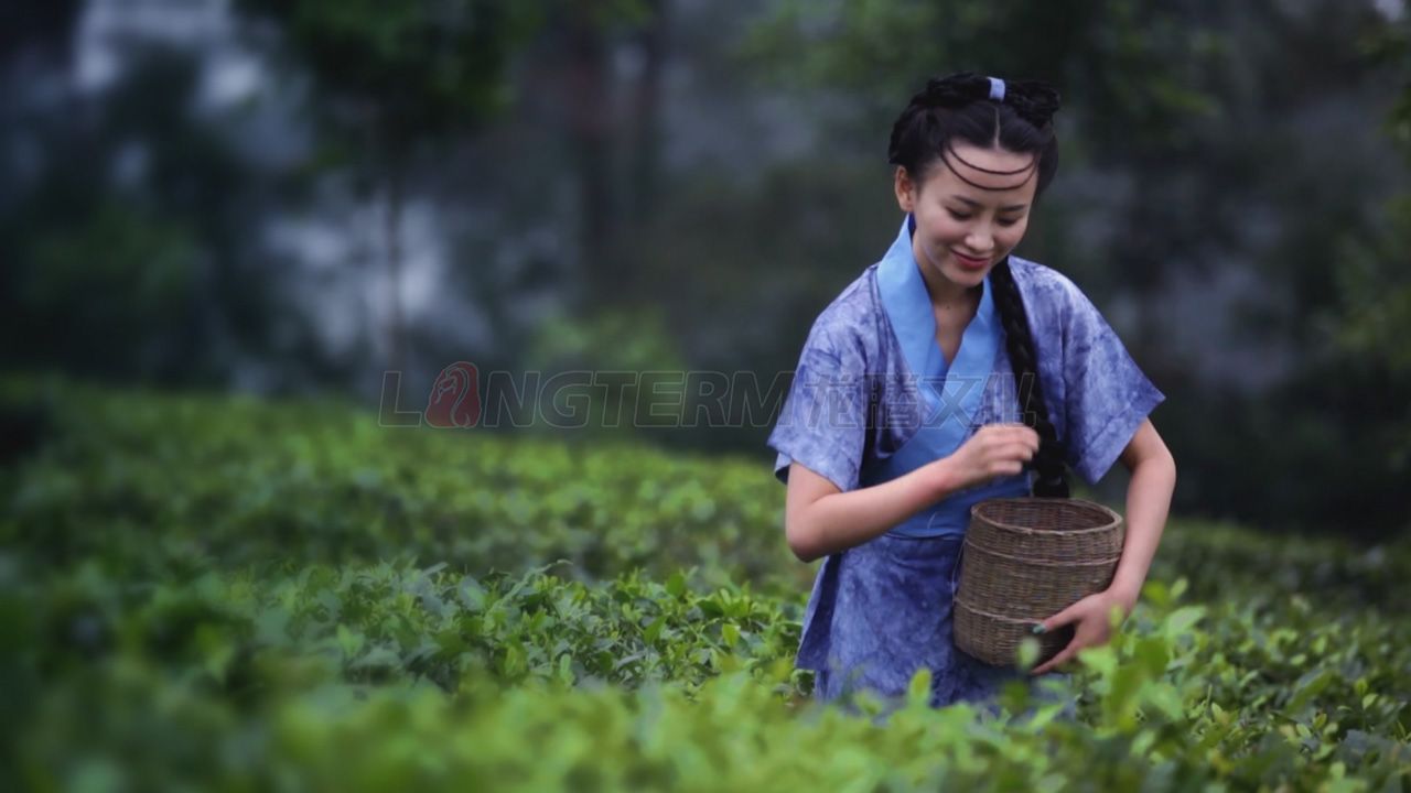 了翁茶廣告片_茶葉廣告片_成都茶葉公司宣傳片_茶葉形象宣傳廣告片拍攝制作公司