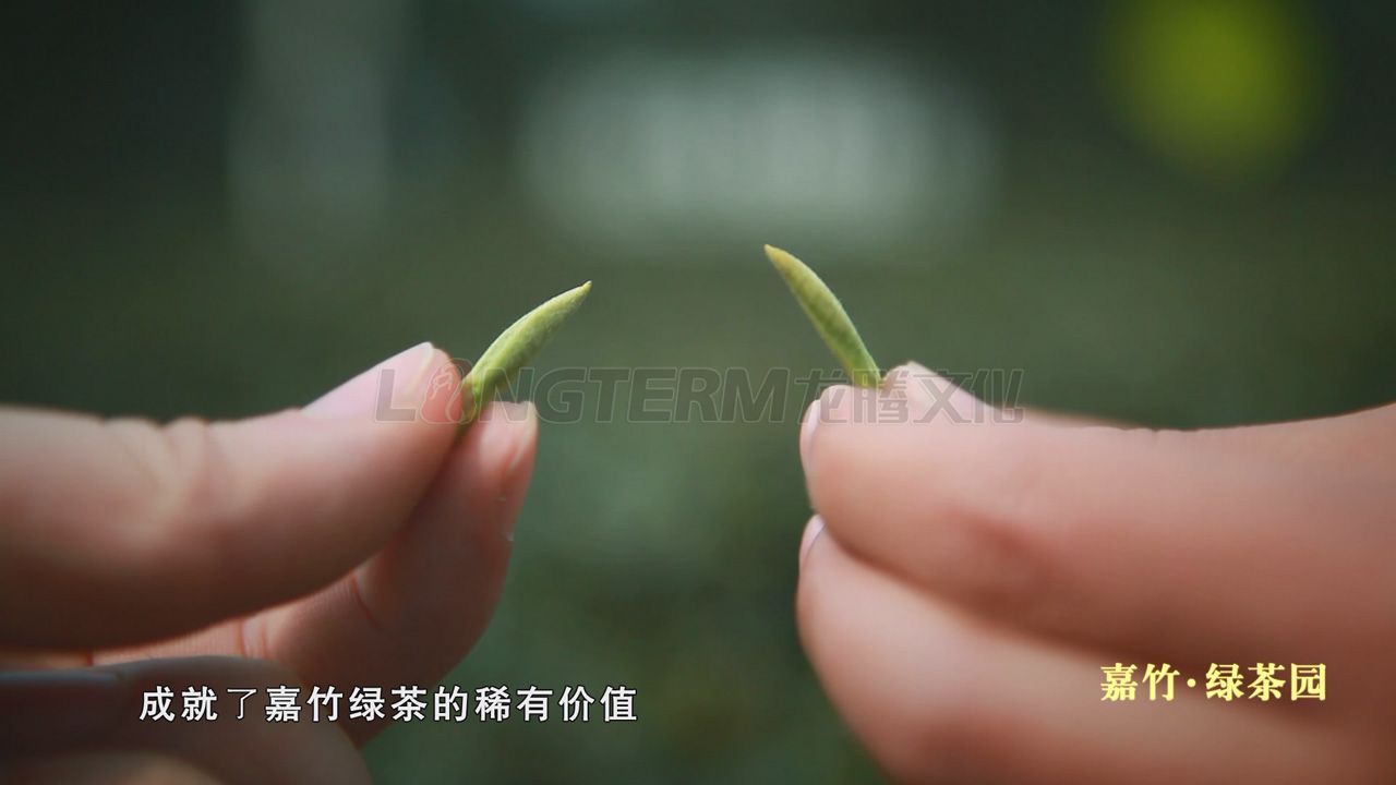 嘉竹茶業(yè)宣傳片_茶葉公司形象宣傳片拍攝制作_茶葉廣告片_茶葉企業(yè)宣傳片