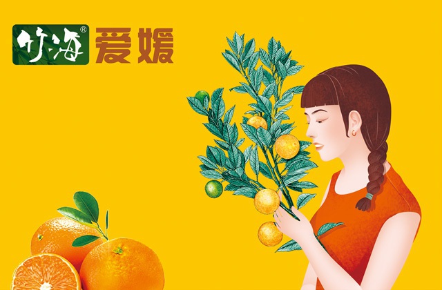 高低端企業(yè)宣傳片的區(qū)別