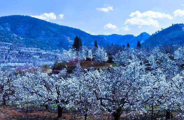 四川省成都市新津縣梨花溪文化旅游區(qū)宣傳片拍攝制作內(nèi)容詳情