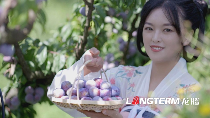 公司產(chǎn)品宣傳片拍攝注意事項(xiàng)